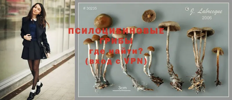 Псилоцибиновые грибы Magic Shrooms  Горнозаводск 